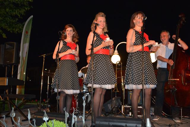 min 2015 06 05 bad ischl 079